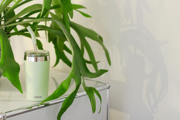 Actual product image Sigg Helia (0.60 l)