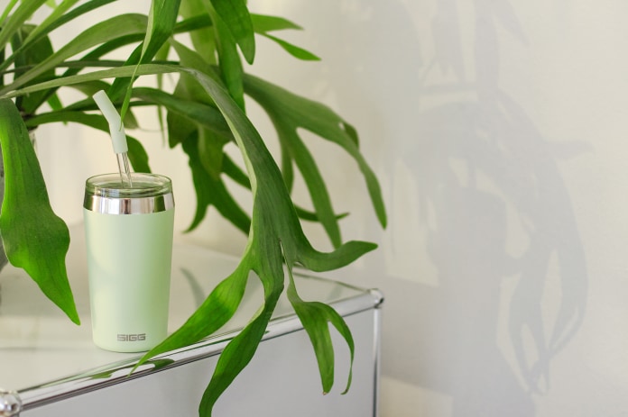 Actual product image Sigg Helia (0.60 l)