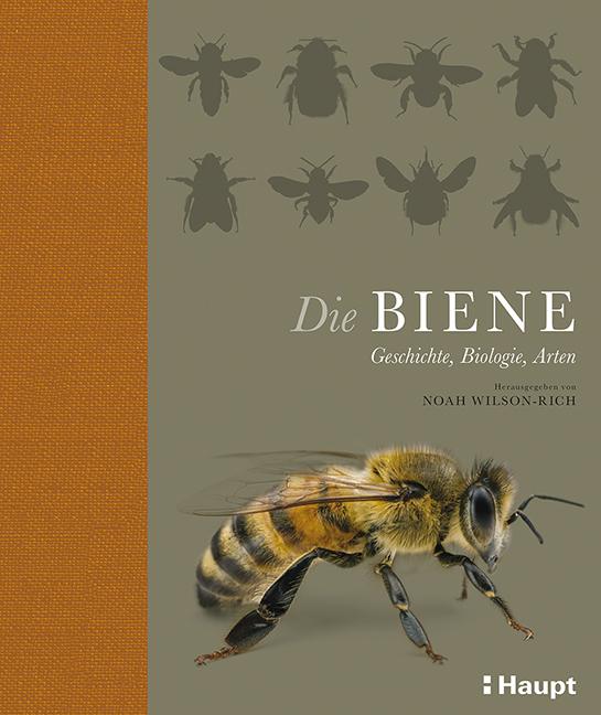 Produktbild Die Biene (Deutsch, Coralie Wink, Monika Niehaus, Noah Wilson-Rich, 2015)