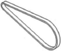 Actual product image Zebra Belt 080P XXXT CNDTV