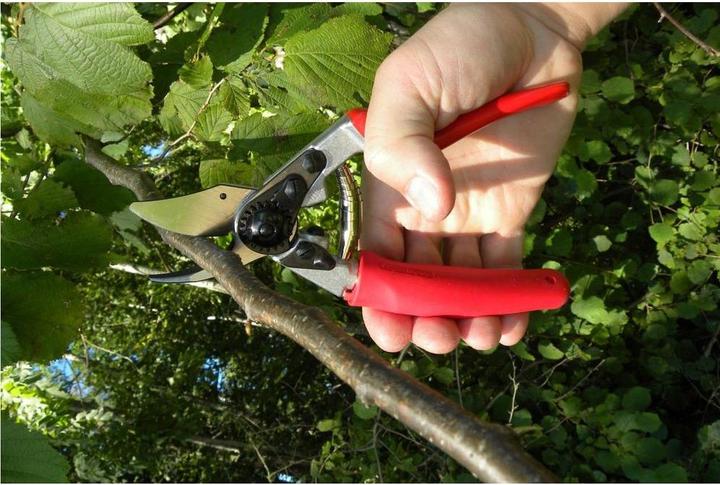 Productafbeelding Felco Tuinschaar 12