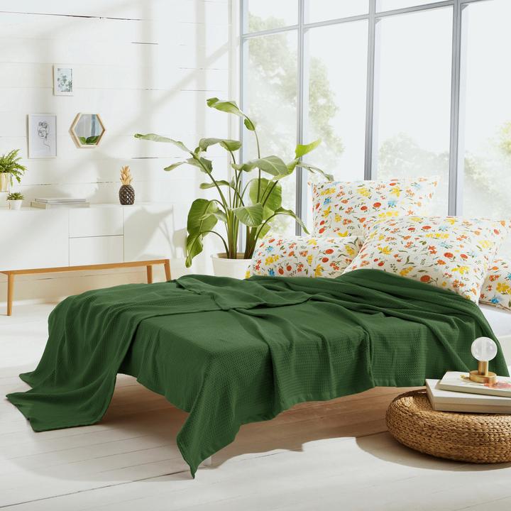 Image du produit Erwin Müller Sommerdecke (220 x 240 cm)