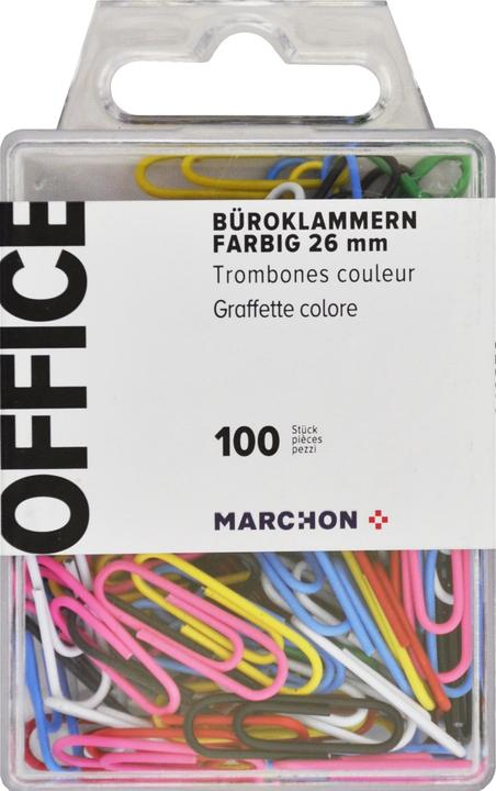 Actual product image Office Paperclips (100 x)