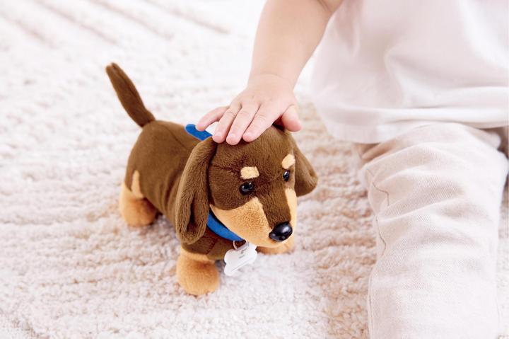 Image du produit Hape Tierarzt-Set