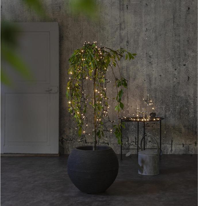 Produktbild Star Trading Lichterkette (3.30 m)