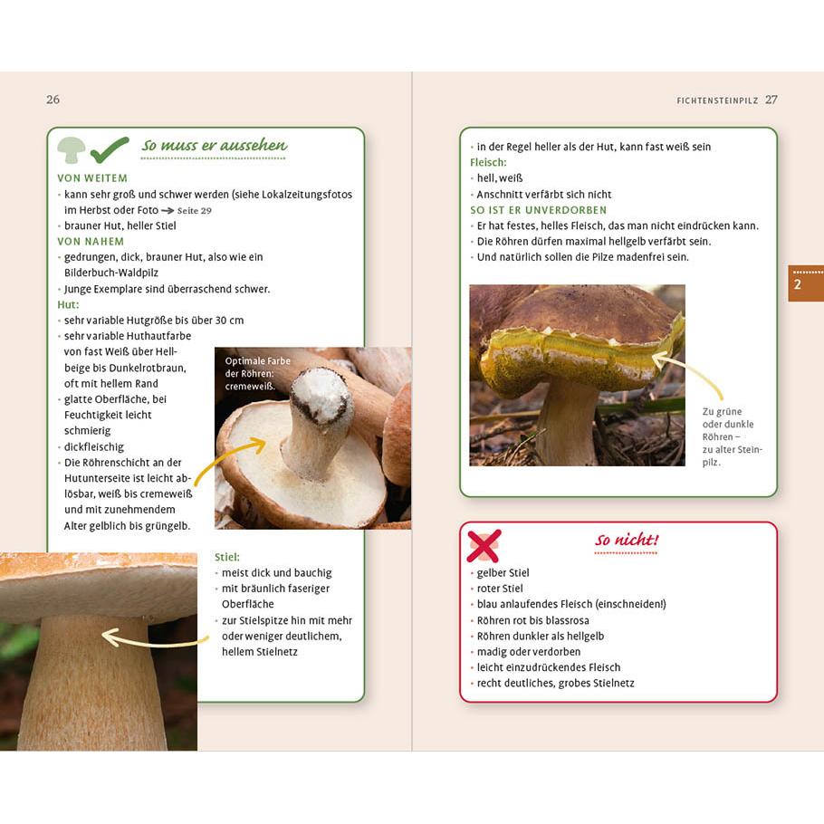 Thumbnail - 10 Pilze, Ratgeber von Christine Schneider, Gerhard Schuster