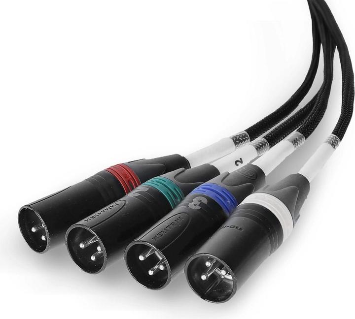 Image du produit Palmer Audio AoC Loom XLR M - Câble adaptateur multiconducteur audio over Cat d'Ethercon vers 4 x XLR mâle