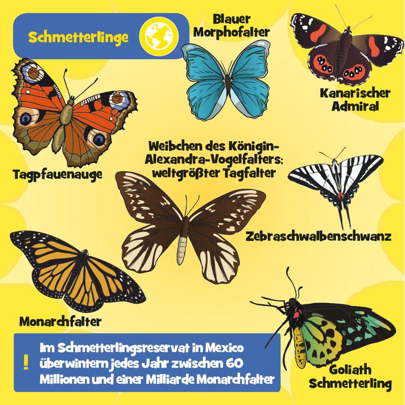 Thumbnail - Brainbox Brain Box- Wilde Tiere (Deutsch)