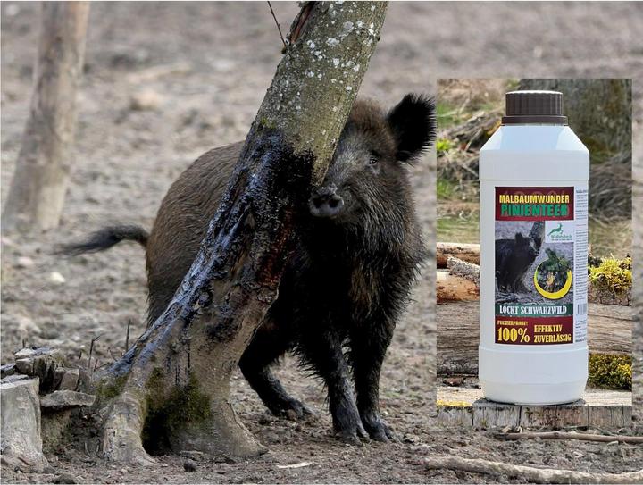 Produktbild Wildlutscher Pinienteer
