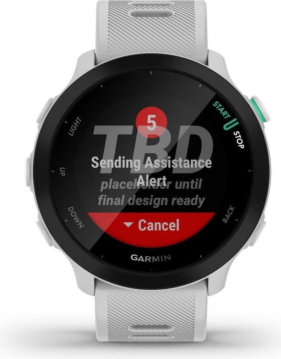 Actual product image Garmin Forerunner 55 (42 mm)