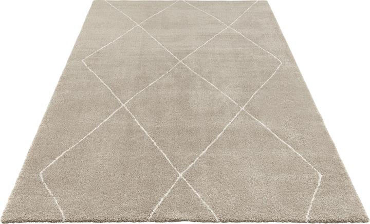 Produktbild ELLE DECORATION Massy (230 x 160 cm)