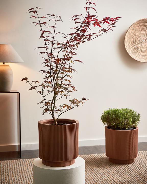 Produktbild Beliani Daria (30 x 30 cm)