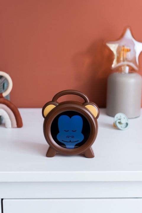 Actual product image Alecto BC-100 Monkey