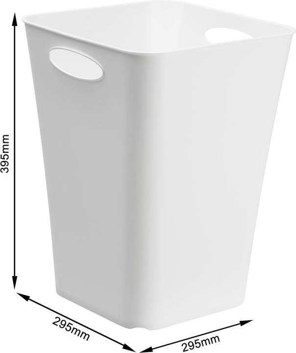 Actual product image Rotho Living Box (29.50 cm, 23 l, 1x)