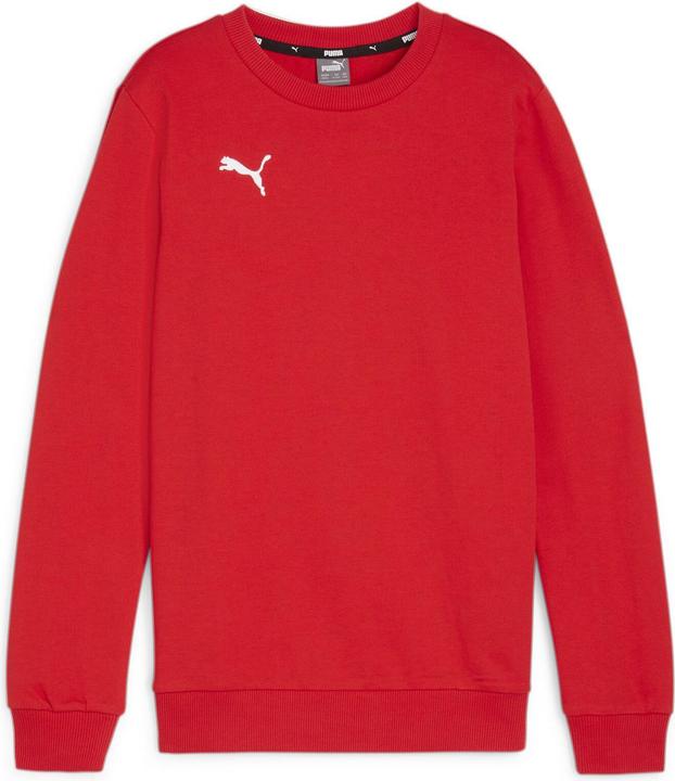 Actual product image Puma teamGOAL Casuals Crew Neck Sweat Jr (152)