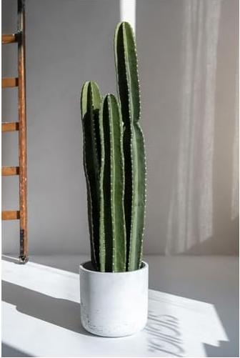 Actual product image Pottery Pots Charlie XS