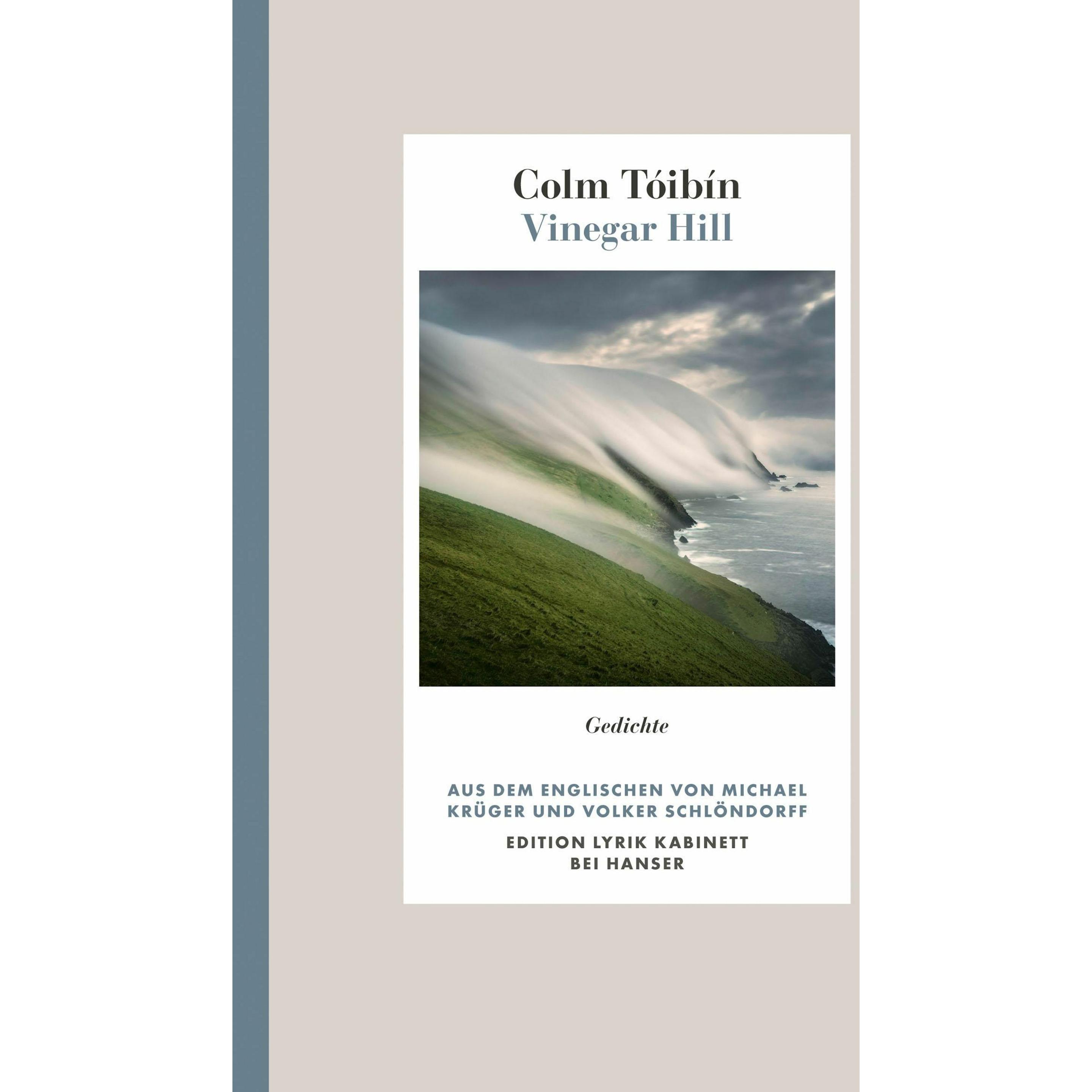 Vinegar Hill, Belletristik von Colm Tóibín
