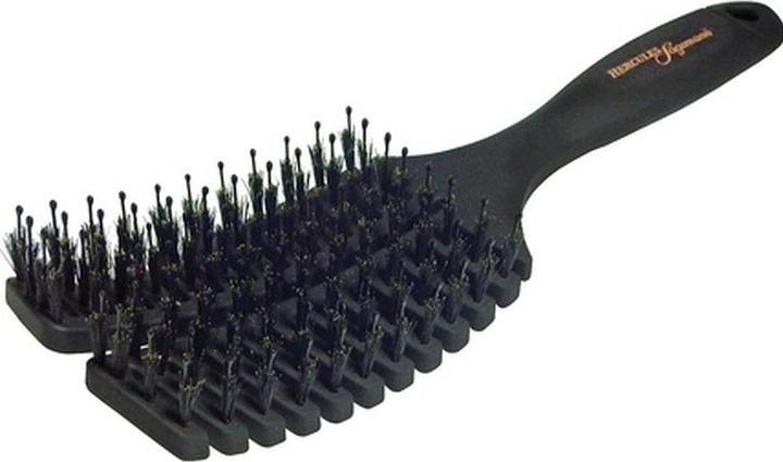 Actual product image Hercules Sägemann vent brush