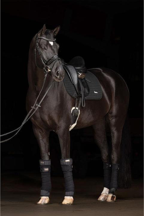 Actual product image Kerbl Bandage pads Cov. Therm in pairs, black, 45x30x2