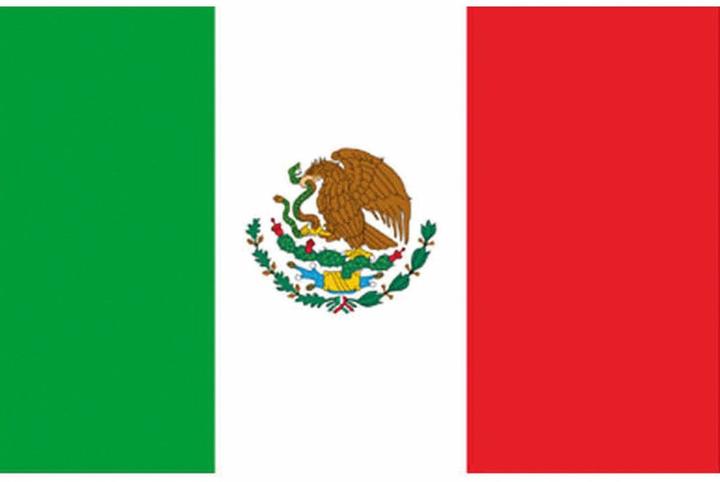 Produktbild Espa Mexiko Fan Flagge 90 x 150cm