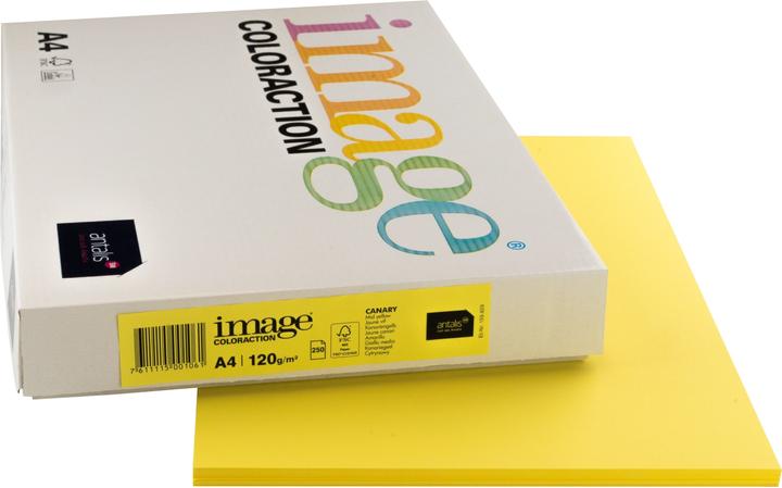 Actual product image Image Copy paper Canary A4 (A4, 250 Sheets, 120 g/m²)