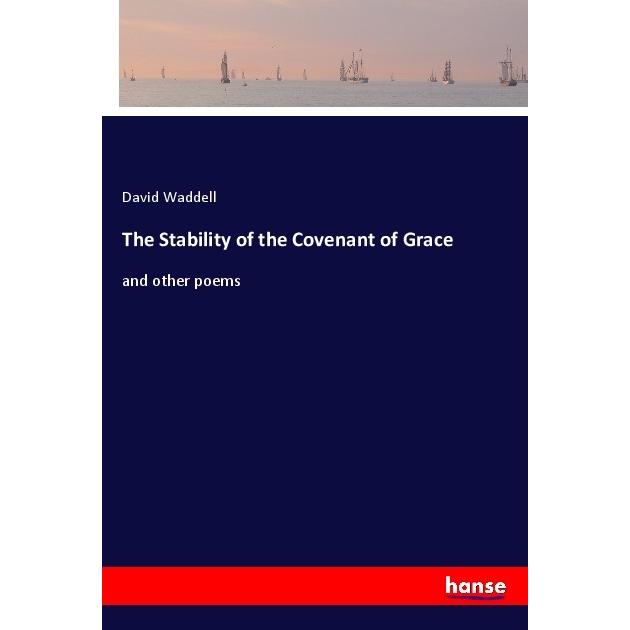 The Stability of the Covenant of Grace, Belletristik von David Waddell