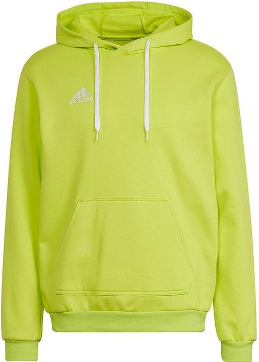 Actual product image adidas Entrada 22 Sweat Hoodie (M)