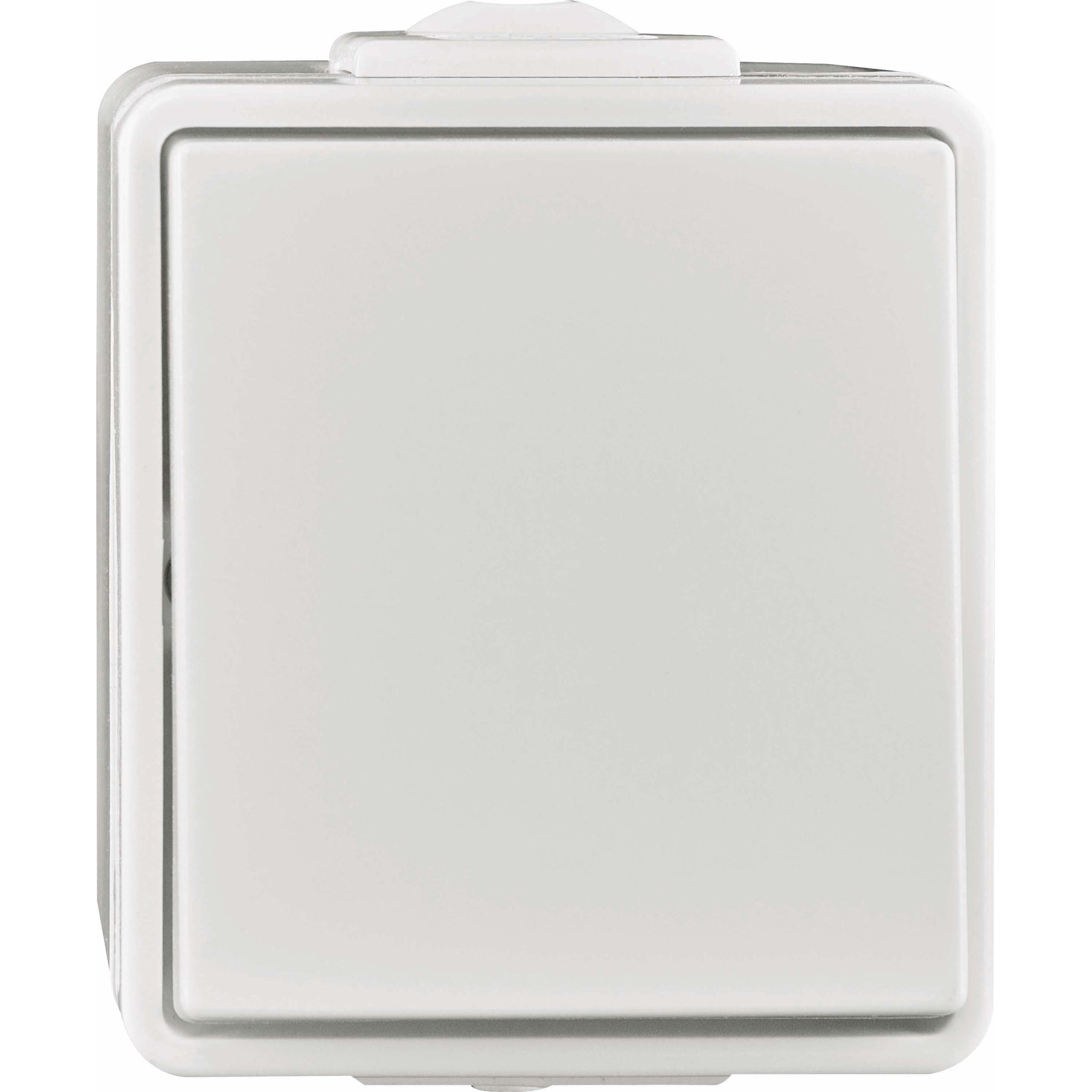 Rademacher Wipptaster gr 1S AP IP54 mt, Taster + Schalter, Grau