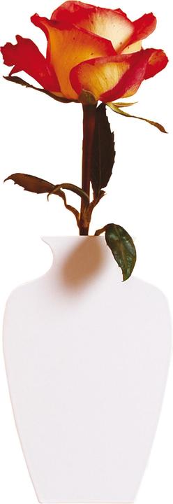 Produktbild Cedon Mauerblümchen Wandvase