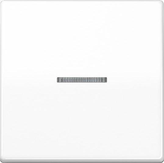 Actual product image JUNG AS 591 KO5BFS WW