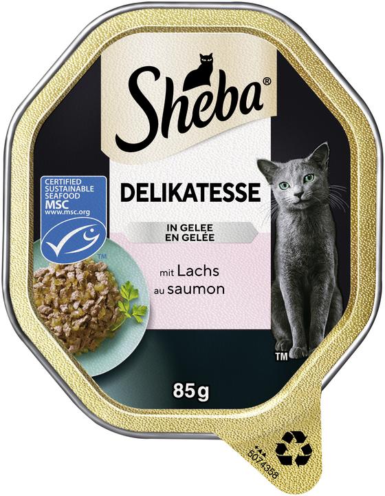 Image du produit Sheba Délicatesse en gelée (Adulte, 1 pcs, 85 g)