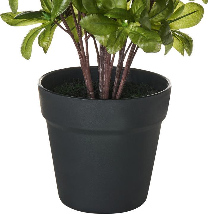 Immagine prodotto Beliani Novella (36 cm)