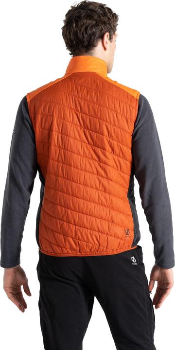 Produktbild Dare2b Touring Weste Leicht (XL)