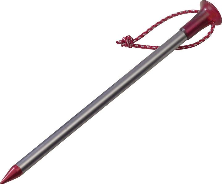 Actual product image Msr Carbon Core Stake Kit 4 Stakes