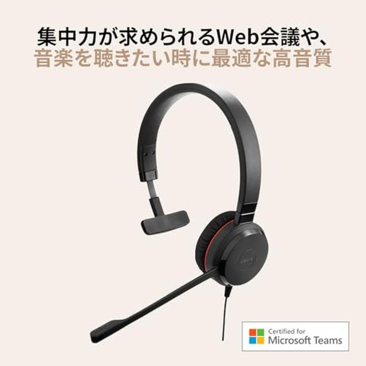 Image du produit Jabra Evolve 20 (Filaire, USB-A)