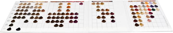Image du produit Schwarzkopf Salon Tools Igora Royal Compact Color Chart