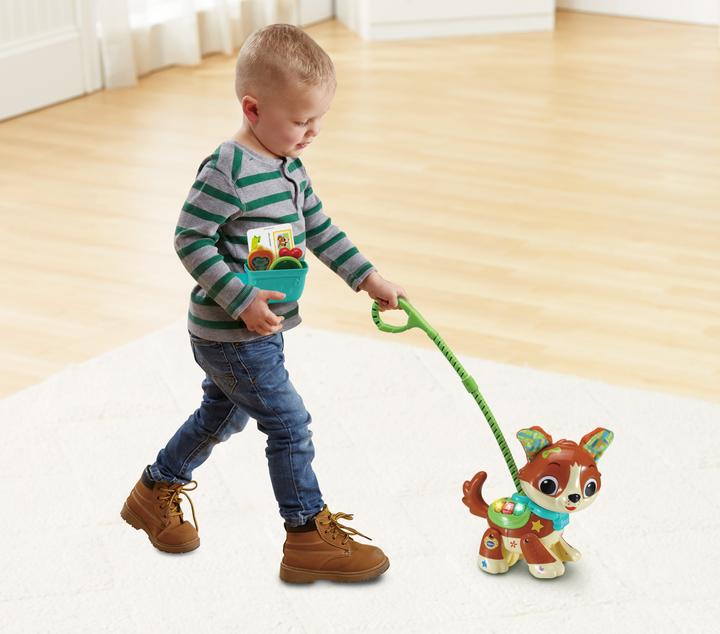 Actual product image VTech 80-552564 Run-with-me doggie baby toy, colourful