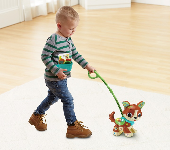 Image du produit VTech 80-552564 Marche avec moi chien jouet bébé, coloré