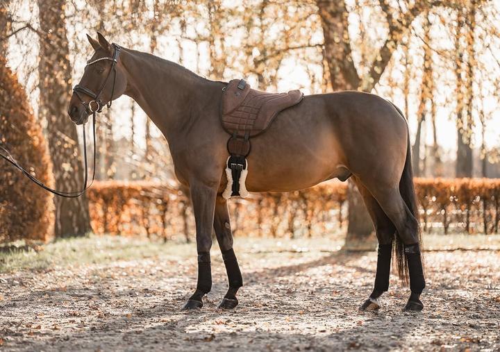 Produktbild Equinate Harper, Pferd, Braun