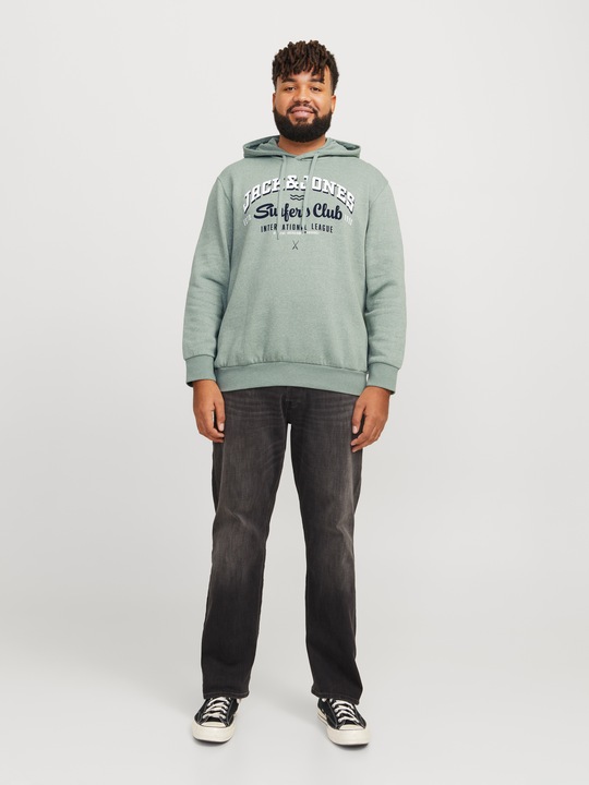 Produktbild Jack & Jones JJELOGO SWEAT HOOD 2 COL 24/25 NOOS PLS (XXL)