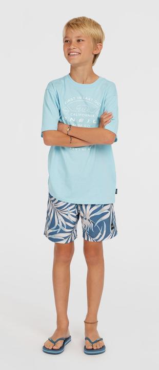 Immagine prodotto O'Neill CALI 14" SWIMSHORTS (128)