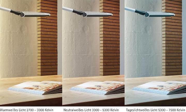 Produktbild Maul Mauloptimus (600 lm)