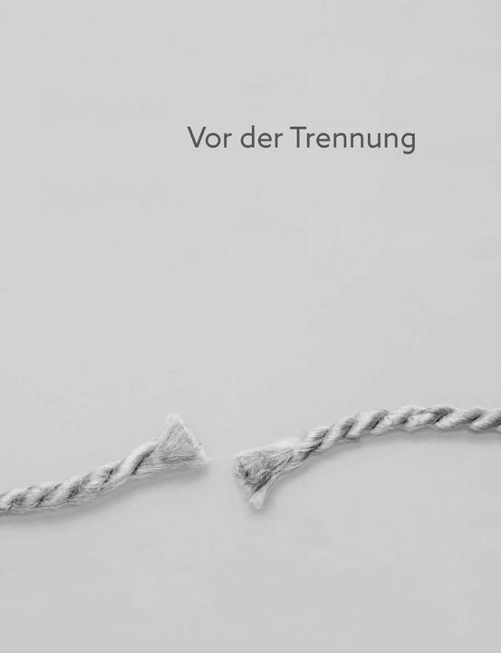 Actual product image Ich will mich trennen (German, Torsten Geiling, 2024)