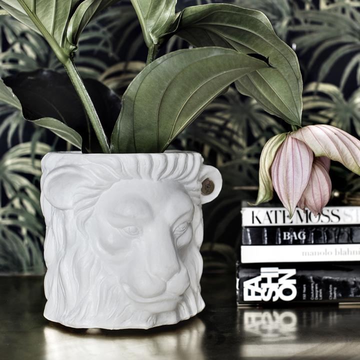 Actual product image Garden Glory Lion Pot planter