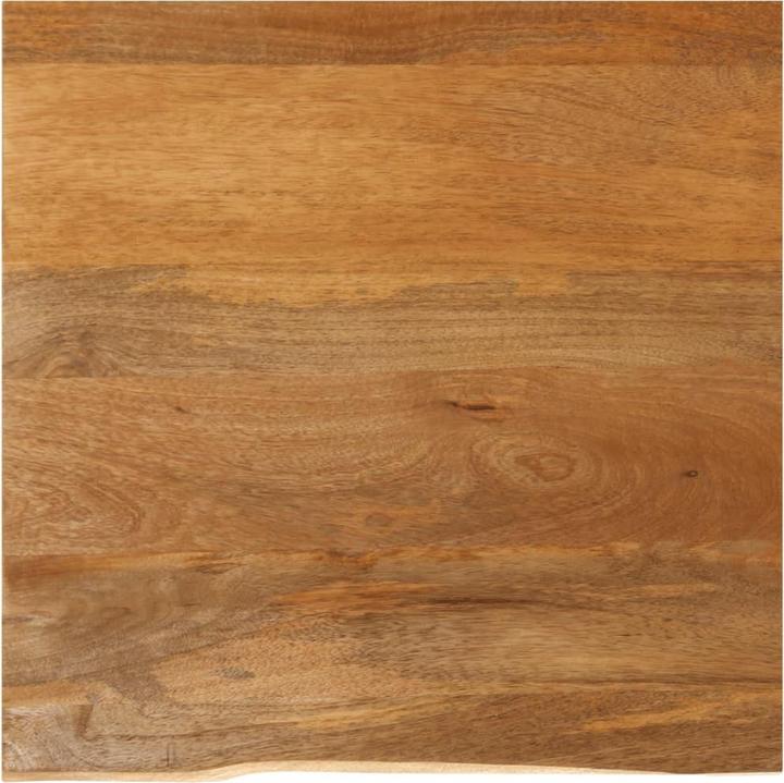 Produktbild VidaXL Luminous Lythrum (40 x 40 x 2.5 cm)