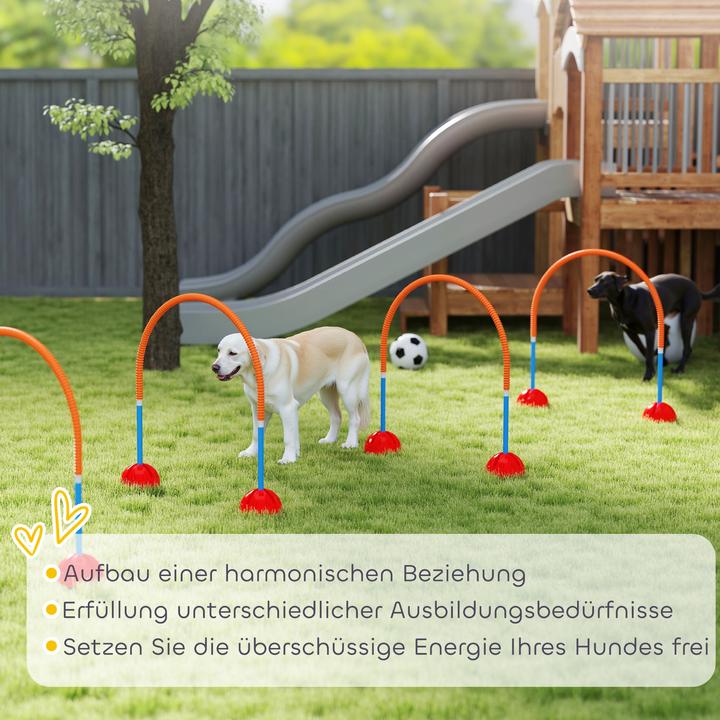 Immagine prodotto PawHut Hund Agility Set Kunststoff Blau+Orange (Destrezza)