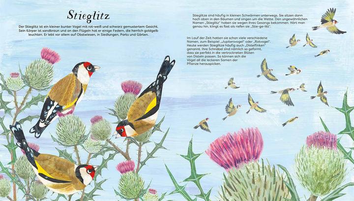 Immagine prodotto Kosmos Flieg mit uns!