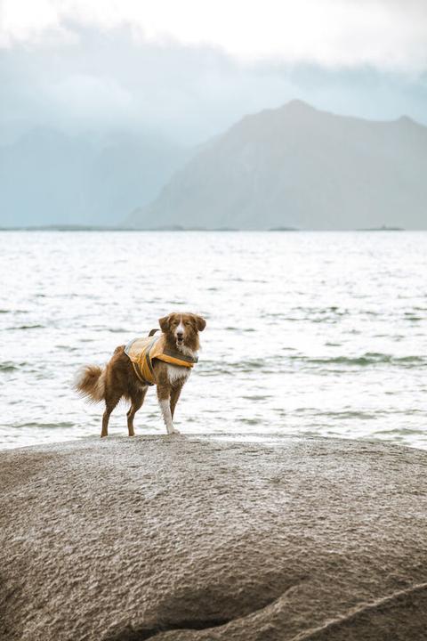 Actual product image Hurtta Life Savior life jacket, orange, 0 - 5 kg (XS, Dog life jacket)
