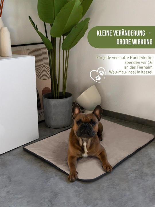 Actual product image Aspero Dog blanket Lund (Dog)