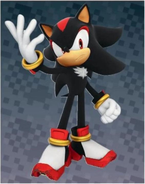 Actual product image Panini Sonic the Hedgehog Sticker Collection Display (36)